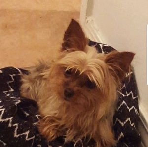 Meet your Posher, Nancy